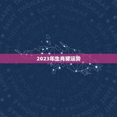 2023年生肖猪运势，2023年生肖猪运势详解(最新完整版)