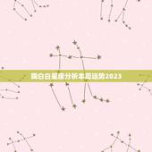 陶白白星座分析本周运势2023(本周运势如何)