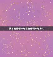 属兔的是哪一年出生的呢今年多大(解密属兔人的年龄与性格特征)