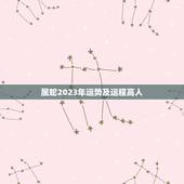 属蛇2023年运势及运程高人