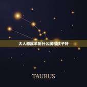 大人都属羊配什么属相孩子好，夫妻都属羊，生什么属相的宝宝好