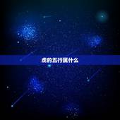 虎的五行属什么，虎五行属什么的