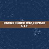 属兔与属蛇结婚相配吗 属兔的与属蛇的合婚好不好