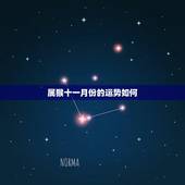 属猴十一月份的运势如何，属虎人十一月份运势如何