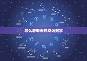怎么看每天的幸运数字，怎么看每天的幸运数字呢