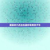 属鼠的几月出生最好命男孩子牛，属鼠几月份出生最好