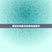 属蛇的和属龙的属相相配吗，属相配对：属龙的和属蛇的配吗