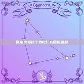 属老虎男孩子的和什么属相最配，属虎男和什么属相最配