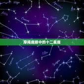 摩羯座眼中的十二星座，摩羯座眼中的其他星座