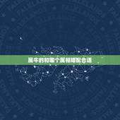 属牛的和哪个属相婚配合适，属牛的和哪个属性相配