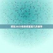 想生2023年的虎宝宝几月备孕，2023年虎宝宝农历几月出生最好命