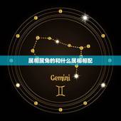 属相属兔的和什么属相相配，属兔与什么属相相合，相冲？