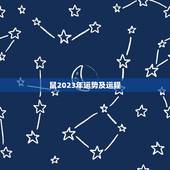 鼠2023年运势及运程，2023年运势翻身的生肖是什么？