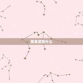 属兔宜配什么忌配什么(如何选择配偶)