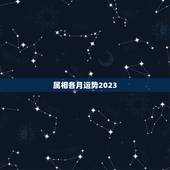属相各月运势2023