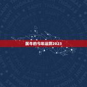 属牛的今年运势2023，2023属牛人的全年运势如何