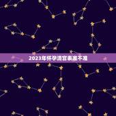 2023年怀孕清宫表准不准，2023清宫表生男生女图准确度高吗？