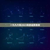 一九九六年2023年的运势怎样，2023年属猪人的全年运势如何？