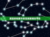 属鼠的和属牛的定亲属相合不合，属牛和属鼠相配吗？结婚后合吗？