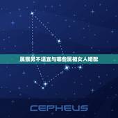 属猴男不适宜与哪些属相女人婚配，属猴的和什么属相最相配 12属相婚配表