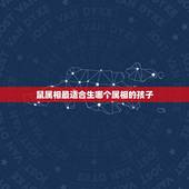 鼠属相最适合生哪个属相的孩子，生肖属鼠的和什么样的属相的孩子最好