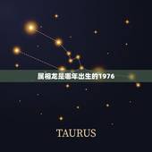 属相龙是哪年出生的1976，属龙是哪一年的