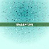 招财金鱼养几条好，家里养几条鱼最旺财