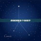 虎和蛇婚配生个马的孩子，属虎和属蛇的婚配如何