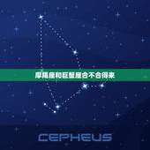 摩羯座和巨蟹座合不合得来，摩羯座和白羊座合不合