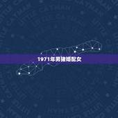 1971年男猪婚配女，1971年属猪的女人和1971年属猪的男人是否婚