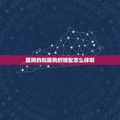 属狗的和属狗的婚配怎么样啊，属狗和属狗相配吗