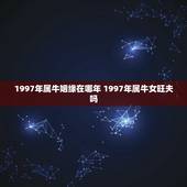 1997年属牛姻缘在哪年 1997年属牛女旺夫吗