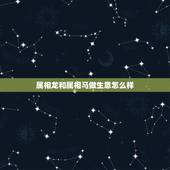 属相龙和属相马做生意怎么样，属龙的和什么属相做生意最旺财