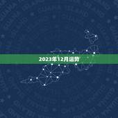 2023年12月运势，属羊人2023 年每月运势
