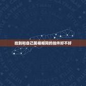 捡到和自己属相相同的挂件好不好，各位，请问本命年可以戴和自己属相一样的