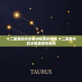 十二星座的月份表水瓶座的性格 十二星座中的水瓶座很特殊吗