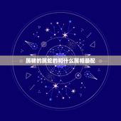 属猪的属蛇的和什么属相最配，属蛇的和什么属相最般配？