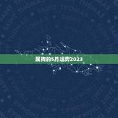 属狗的5月运势2023(狗年好运连连财运亨通)
