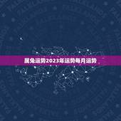 属兔运势2023年运势每月运势(详解2023年兔子运势如何)