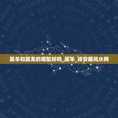 属羊和属龙的婚配好吗_属羊_祥安阁风水网，属羊和属龙在一起好不好