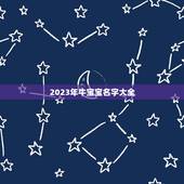 2023年牛宝宝名字大全，何姓牛宝宝取名大全2023款