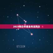 2023年白羊座全年运势女，双子女最近运势