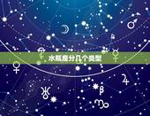 水瓶座分几个类型，水瓶座几重人格