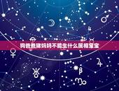 狗爸爸猪妈妈不能生什么属相宝宝，属狗妈妈属猪爸爸生什么宝宝最好