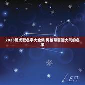 2023属虎取名字大全集 男孩带官运大气的名字