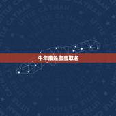 牛年康姓宝宝取名，康姓男孩起名