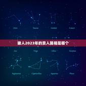 猪人2023年的贵人属相是哪个，属猪的贵人是什么属相