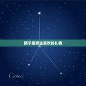 狮子座男生喜欢的礼物，双鱼座喜欢啥样的礼物