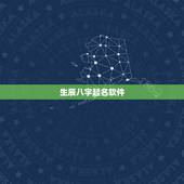 生辰八字起名软件，带数理的正品八字起名解名软件是真品吗？