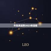 牛生肖运势2023年运程，牛年属猴运势2023年运势